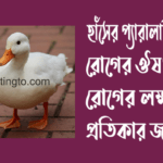 হাঁসের প্যারালাইসিস রোগের ঔষধ - রোগের লক্ষণ ও প্রতিকার 2025