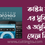 কাস্টম রম কি, এর সুবিধা ও অসুবিধা