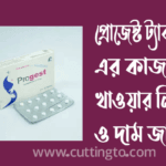 প্রোজেস্ট এর কাজ কি