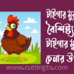 টাইগার মুরগির বৈশিষ্ট্য, টাইগার মুরগি চেনার উপায় ও দাম 2025