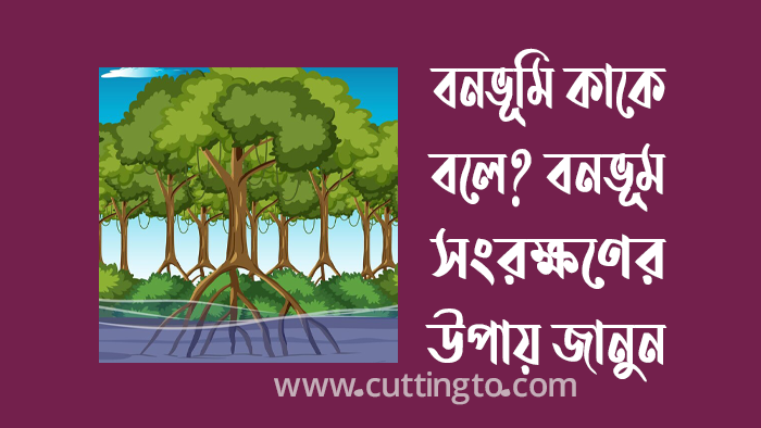 বনভূমি কাকে বলে? বনভূমি সংরক্ষণের উপায়