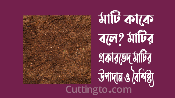 মাটি কাকে বলে? মাটির প্রকারভেদ, মাটির উপাদান ও বৈশিষ্ট্য