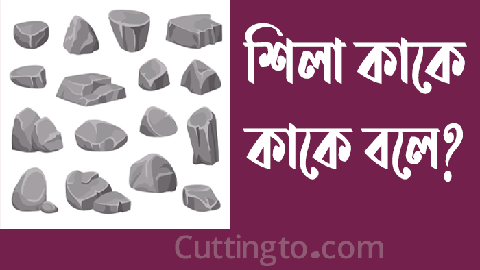 শিলা কাকে বলে? শিলার প্রকারভেদ, পাললিক ও আগ্নেয় শিলার বৈশিষ্ট্য