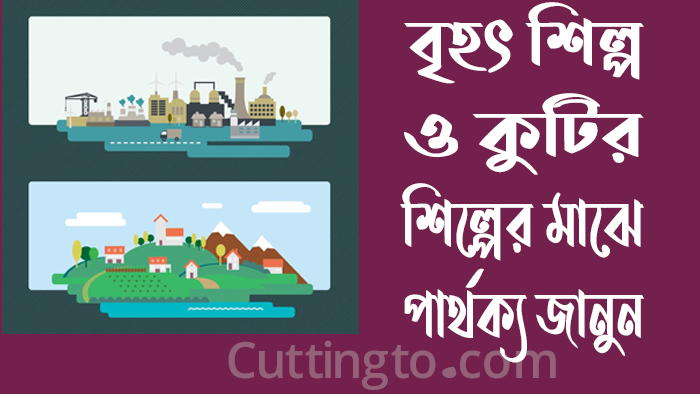 বৃহৎ শিল্প কাকে বলে? বৃহৎ শিল্প ও কুটির শিল্পের পার্থক্য